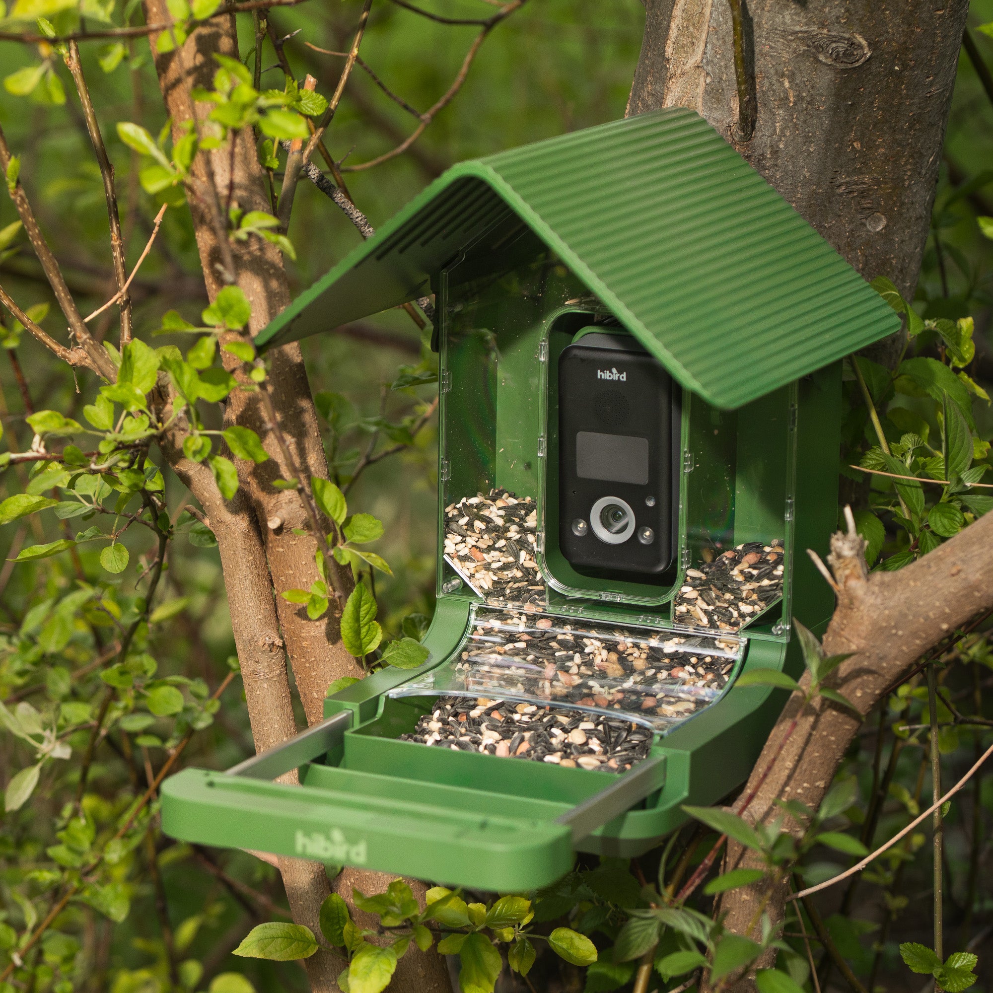 Hibird 4K Smart Bird Feeder with Camera