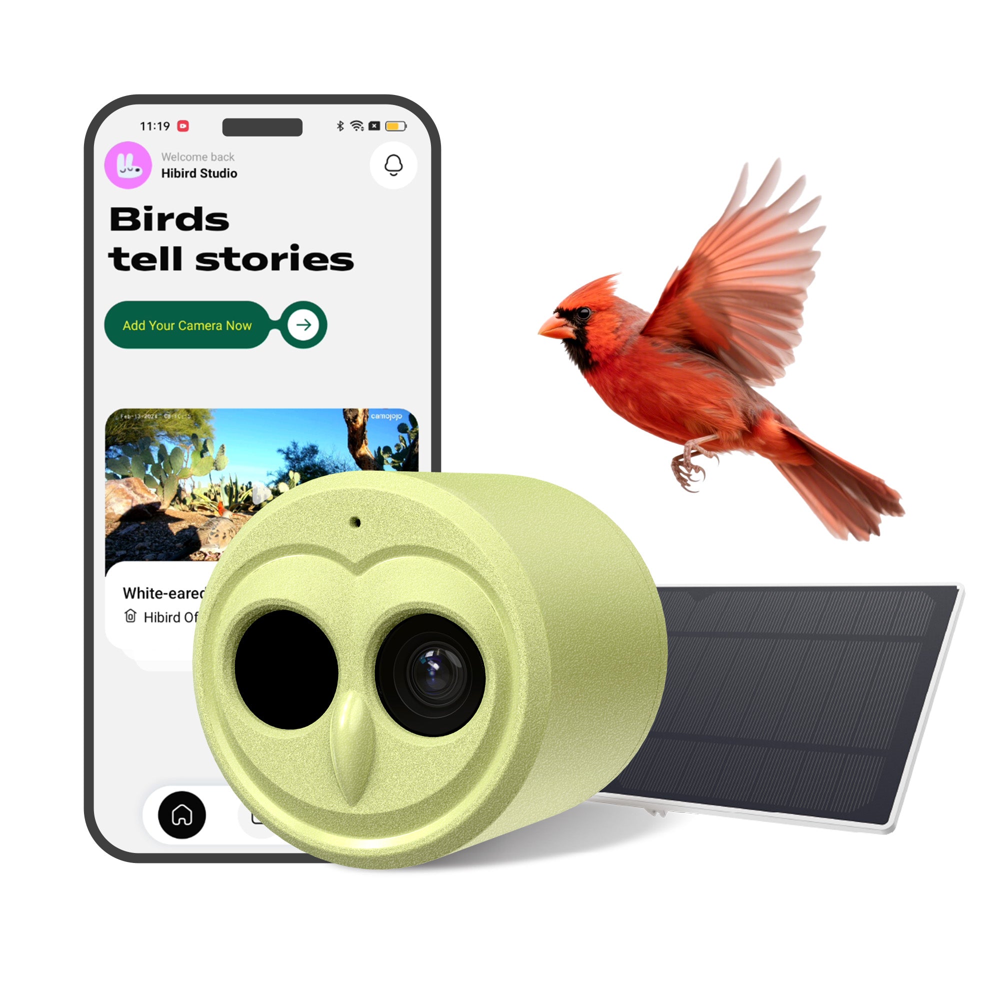 Hibird 4K Bird Camera with 6X Slow Motion & Solar Power