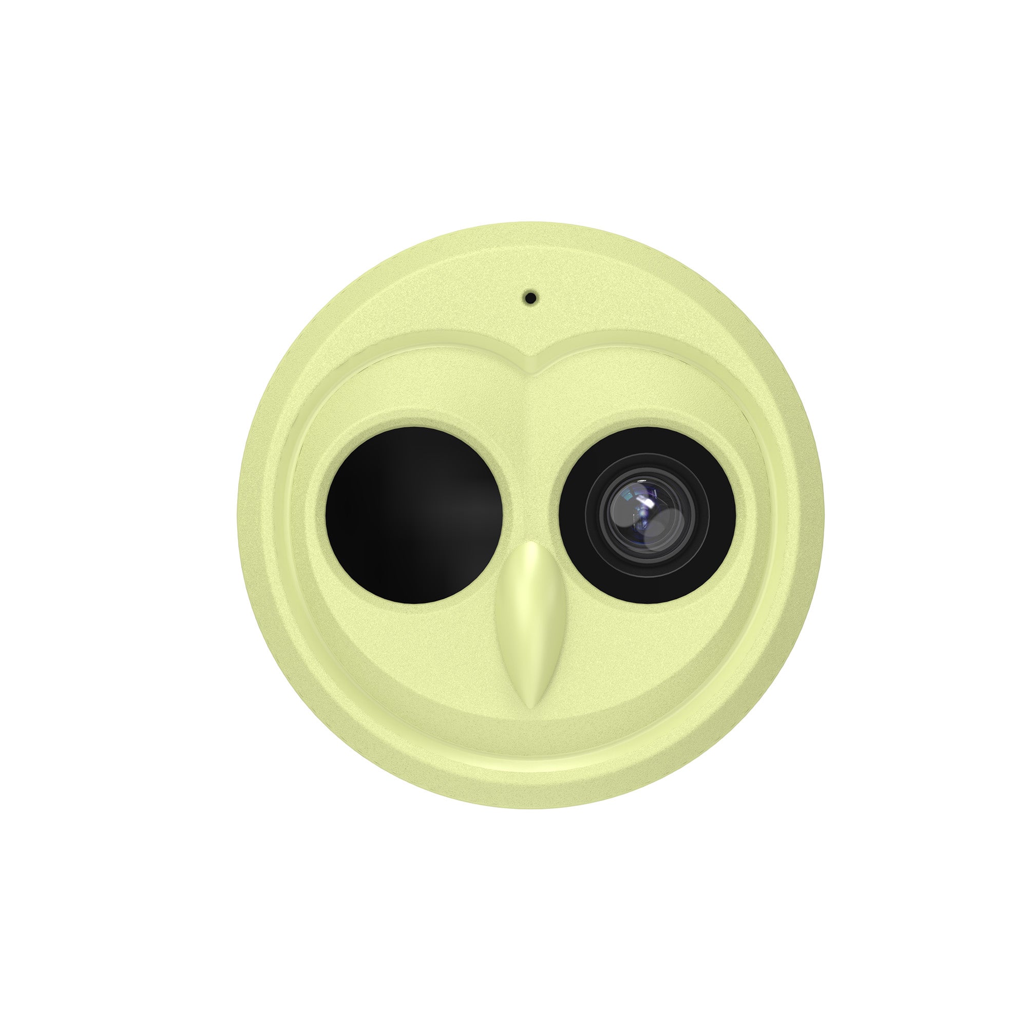 Hibird 4K Bird Camera with 6X Slow Motion & Solar Power