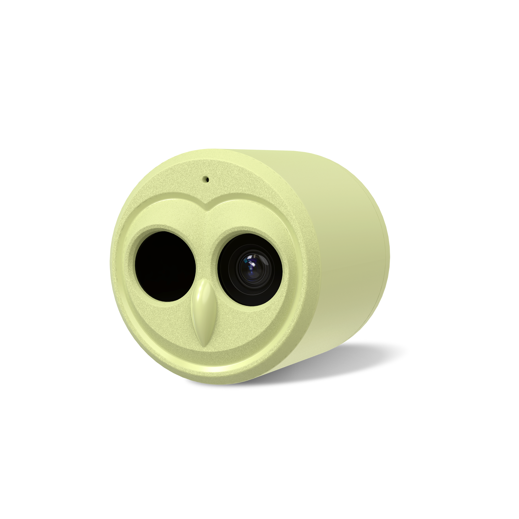 Hibird 4K Bird Camera with 6X Slow Motion & Solar Power